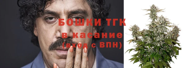 твердый Алзамай