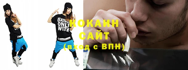 твердый Алзамай