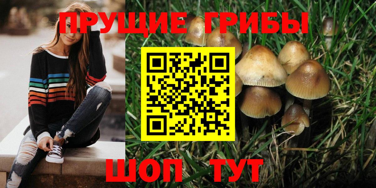 Галлюциногенные грибы Cubensis  Вход с VPN  Кохма 